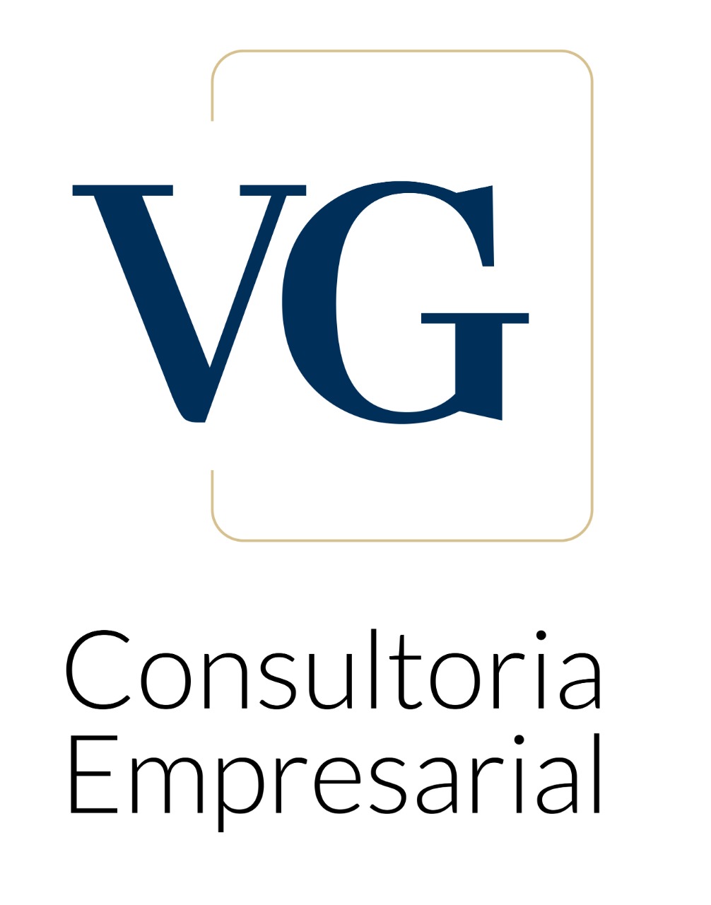 VG Consultoria Empresarial